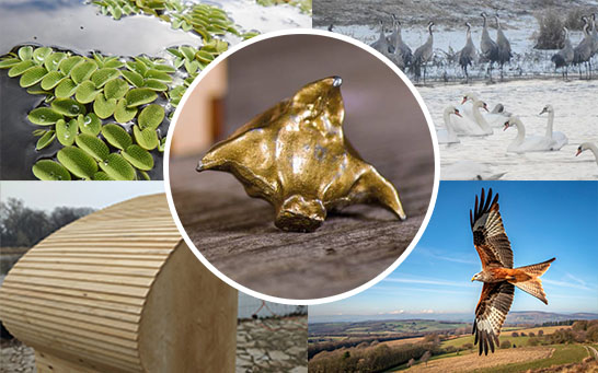 Kraina Łęgów Odrzańskich ABC